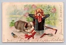 Postcard Greeting Puppy Dogs in a Top Hat, Antique Douglass D1 picture