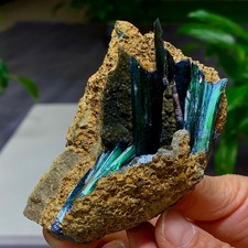 172G Natural Vivianite ludlamite Quartz Crystal Mineral Samples /Brazil picture