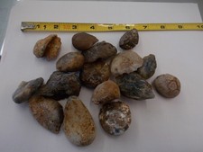 One Pound Oco Agate Geodes From Brazil -Small 14-17 Per Pound picture