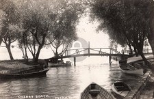 View at Cherry Beach MI Michigan 1908 RPPC Photo Postcard COPY picture