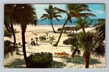 St. Petersburg Beach FL-Florida, Beach with Palm Trees, Postal Vintage Postcard picture