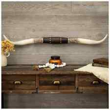 Western Americana Steer Horn Large Rustic Studded Longhorn Wall Decor Resin New picture
