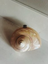 Antique Art Nouveau Nautilus Mother Of Pearl Shell Lampshade (Shade Only) Rare picture