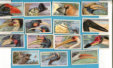 1929 JOHN PLAYER & SONS CURIOUS BEAKS 15 TOBACCO CARD LOT picture
