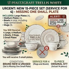 Pfaltzgraff Trellis 15pc Stoneware Dinner Set Service 4 - Missing 1 Dinner Plate picture