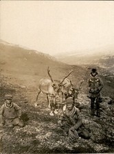GA254 Approx 1920s Orig Underwood Photo NORWEGIAN PEOPLE & REINDEER IN MOUNTAINS picture