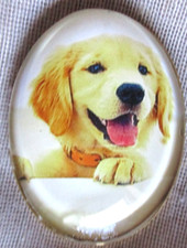 XL GLASS DOME PICT BUTTON --  HAPPY YELLOW LAB PUPPY   1-1/2 in picture