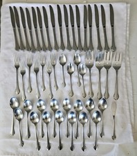 1881 Rogers Stainless Oneida Ltd Bittersweet / Repose 48 Pieces Vintage Flatware picture
