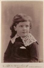 McMichael Studio Buffalo New York Antique Cabinet Card Young Girl picture