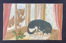 1890s Victorian Stock Trade Card ~ Cats ~ Schipper & Block Dept Store Peoria IL picture