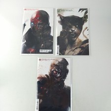 DCeased: Unkillables #1-3 Complete Set Mattina Variants 1 2 3 Lot NM (2020 DC) picture