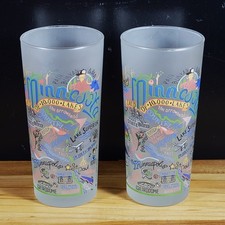 Set of 2 Catstudio Minnesota Frosted Glasses Drinking Tumbler 14 oz. 2008 picture