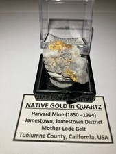 Native Gold on Quartz 8.59 Grams  Harvard Mine, Jamestown California  Very Rare picture