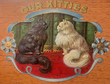 Antique Our Kitties Cigar Box Label 🐾 Embossed Chromolithograph Persian Cats picture