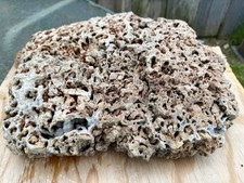 FABULOUS* 23 Lb Fossil Coral - Unique Natural Mound Shaped W/Pretty Chalcedony picture
