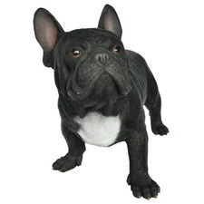 Black French Bulldog Statue picture