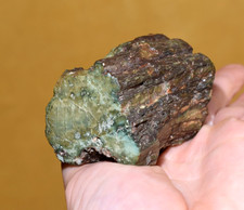 Polished Green Jasper Replaced Petrified Jasperised Wood Hampton Butte, Oregon picture