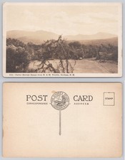 RPPC Carter-Moriah Range B&M Trestle Gorham NH White Mountains Vintage Postcard picture