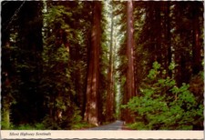 Silent Highway Sentinals Vintage Postcard Spc18 picture