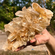 1.46LB Natural white crystal Himalayan quartz cluster/mineral picture