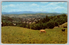c1960s Bird's Eye View Barre Vermont Burlington Scenic Postcard picture