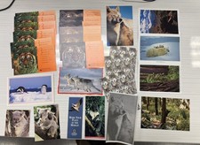 Lot Of 24 Wildlife Animal Photography 5x7” Postcards picture