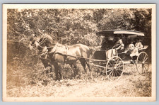 RPPC c1910s Family in Fringe Canopy Surrey Carriage Two Horse Team Postcard picture