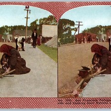 1906 San Francisco Earthquake Fire Woman Eyewitness Account St Francis Hotel V41 picture