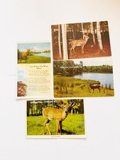 Lot of 4 Vintage Postcards Wisconsin Deer Bucks 1963-1971 Posted w/ Stamps picture