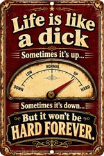 Funny Life Is Like a Dick Metal Sign 8x12 Adult Humor Garage Man Cave Wall Decor picture