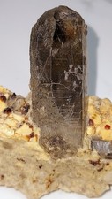 Spesserite Garnet With Smoky Quartz In Muscovite picture