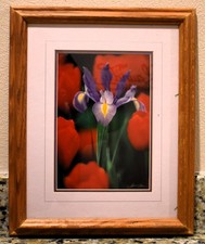 Very Nice Framed Iris Picture picture