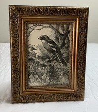 Antique Victorian Ephemera Framed, Children’s Book Illustration, Bird, 1800’s picture