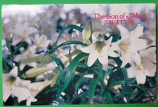 Easter Greetings The Son of Man must Rise posted 1984 Chrome picture