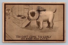 1910 Humorous Puppies Postcard