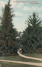 VINTAGE Postcard - The Winding Path, M.A.C Grounds, Lansing - Michigan DB 1909 picture