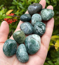 5PCS AAA+ Moss Agate Tumbled Stone | Polished Green Gemstone Home Decor Gift picture