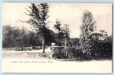 North Easton Massachusetts Postcard Elm Street Exterior View Trees c1905 Vintage picture