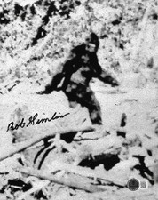 Robert Bob Gimlin Bigfoot Hoax Signed 8x10 Photo Autographed BAS picture