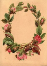 1880s-90s Pink Rose Flower Arrangement Floral Greeting Trade Card picture