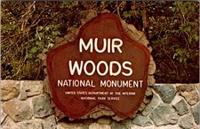 Muir Woods Mill Valley California Entrance Sign Vintage Postcard 4P25-27 picture