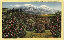 c1935 CALIFORNIA A TYPICAL ORANGE GROVE IN SOUTHERN CALIF LINEN POSTCARD 41-85 picture