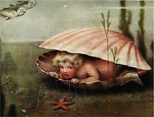 VINTAGE VICTORIAN MERMAID BABY CLAM SHELL MERBABY SEA NYMPH *CANVAS* ART PRINT picture