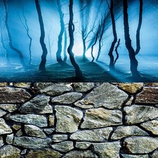 ELEBOX Fish Backgrounds Paper Double Sides 3D Stone & Trees Aquarium Backgrou... picture