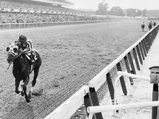 Triple Crown Winner Race Horse Secretariat Publicity Picture Photo Print 5
