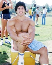 LOU FERRIGNO PRINTS AND POSTERS 293354 picture