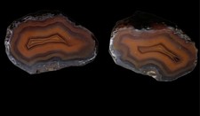 Sweet Malawi Agate Baby Pair  picture