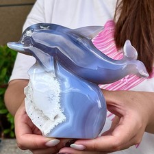 1.23LB   Natural carved agate dolphin shaped crystal skull decoration gift picture