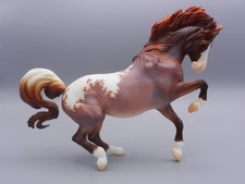 Chevaliere - 2023 Breyerfest Volunteer Model - 133 made - Croi Damhsa Appaloosa picture
