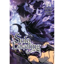 Solo Leveling: Volume 14 picture